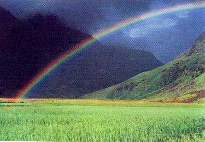 ARCOIRIS